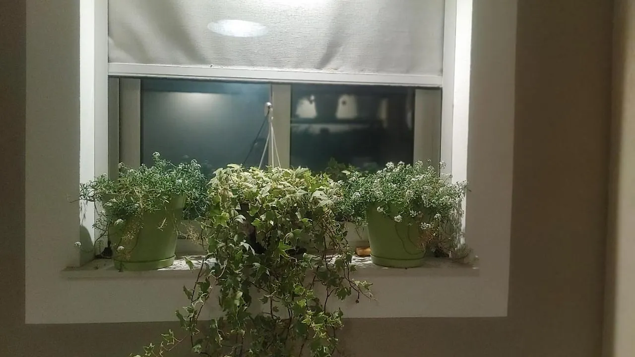 Apartamento Attico Sul Porto Di Catania E Vista Vulcano